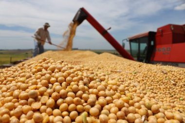 Balança comercial do agronegócio tem superávit de US$ 8,3 bi