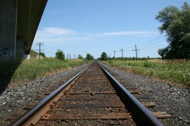 Movimentação de açúcar por ferrovias cresce 187% em 11 anos no Brasil