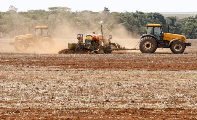 MT terá oferta de soja 2,7% maior