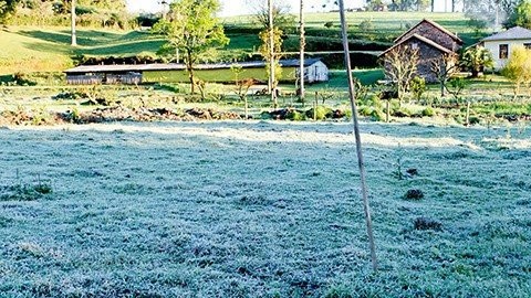 Inverno começou e o agronegócio pode ter perda histórica