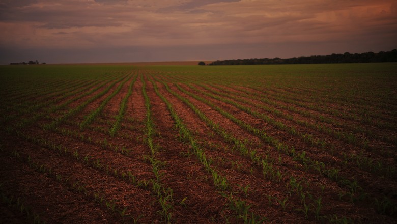 Excesso de chuvas e seca no Brasil continuarão até junho de 2016