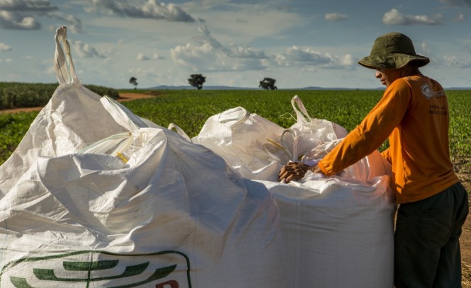 Escassez vai reduzir aplicação de fertilizantes no campo