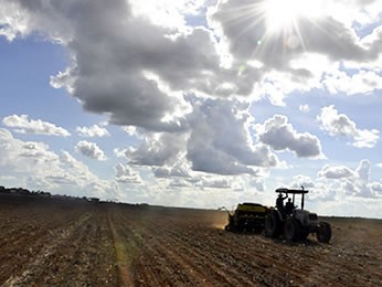 EUA 2015/16: Crescem as especulações sobre a nova safra antes dos números do USDA